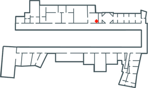 The Uffizi Gallery Museum